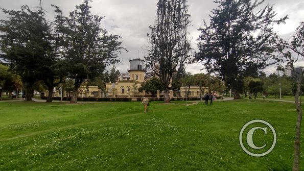 IMG_20221116_141731382_HDR