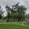 IMG_20221116_141743829_HDR