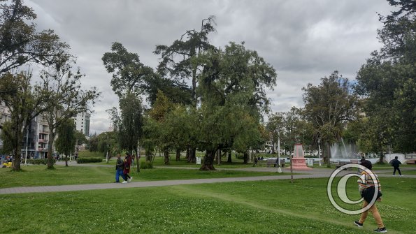 IMG_20221116_141743829_HDR