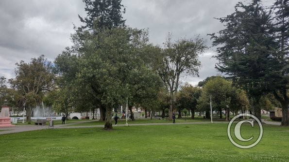 IMG_20221116_141748510_HDR