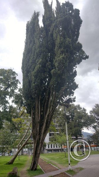 IMG_20221116_152236080_HDR