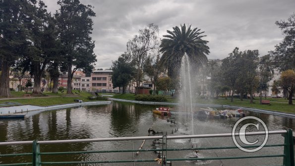 IMG_20221116_152500187_HDR