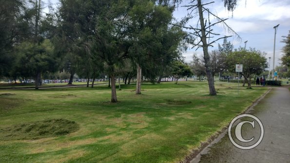 IMG_20221116_092914312_HDR