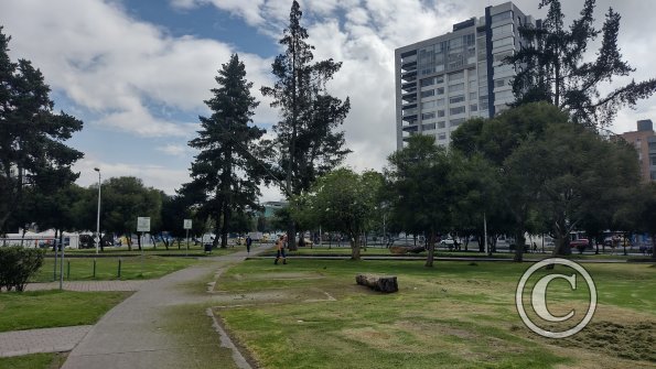 IMG_20221116_092927806_HDR
