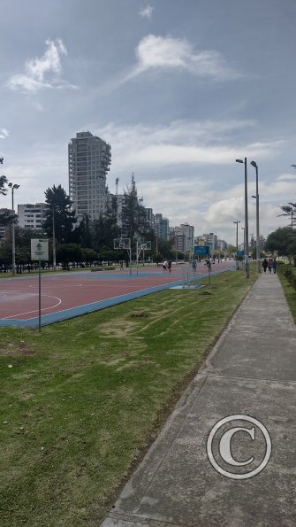 IMG_20221116_093041458_HDR