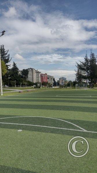 IMG_20221116_093227991_HDR