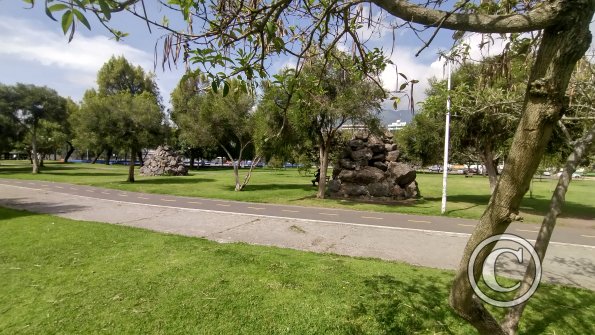IMG_20221116_093628033_HDR
