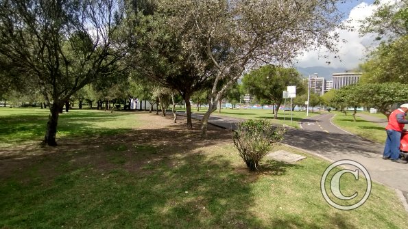 IMG_20221116_093754993_HDR