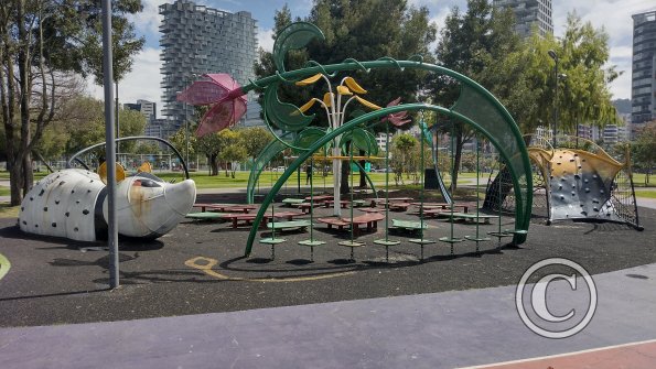 IMG_20221116_094929866_HDR