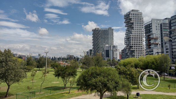 IMG_20221116_095501442_HDR