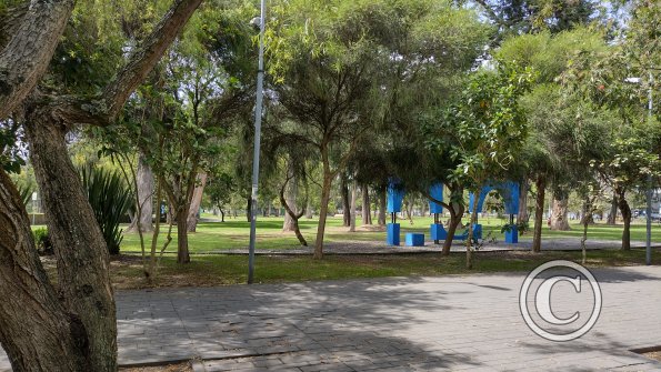 IMG_20221116_100425511_HDR