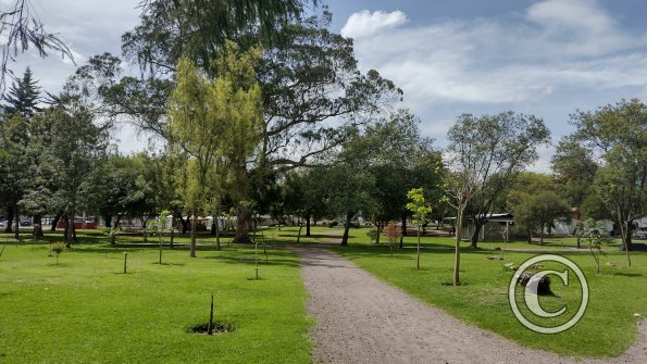 IMG_20221116_100906328_HDR