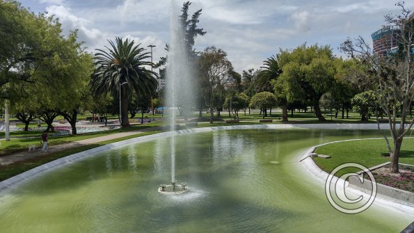 IMG_20221116_101227866_HDR