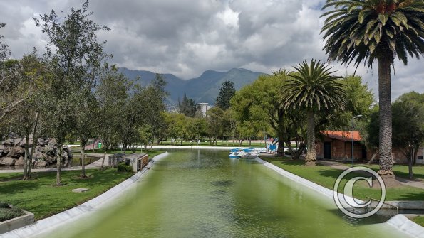 IMG_20221116_101239161_HDR