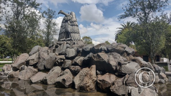 IMG_20221116_101320669_HDR