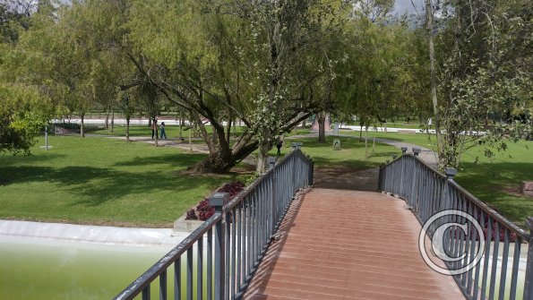 IMG_20221116_101426950_HDR