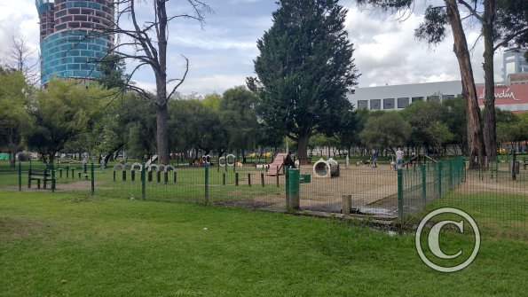 IMG_20221116_101957721_HDR