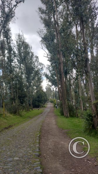 IMG_20221122_130842033_HDR