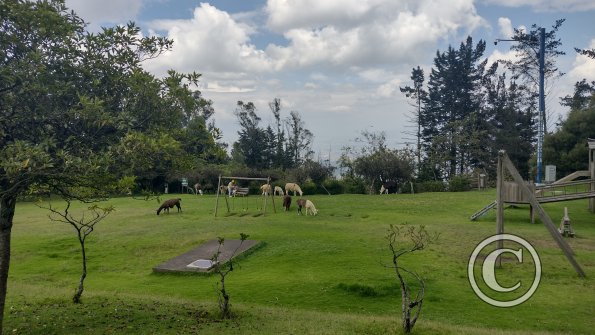 IMG_20221122_131309554_HDR