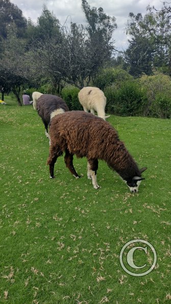 IMG_20221122_131612898_HDR