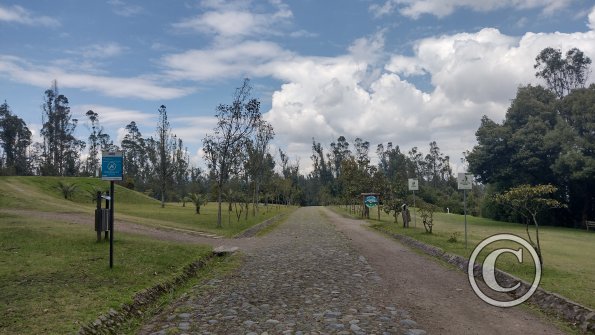 IMG_20221122_132228081_HDR