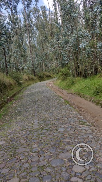 IMG_20221122_133031315_HDR