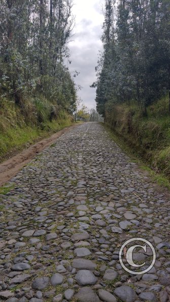 IMG_20221122_133040501_HDR