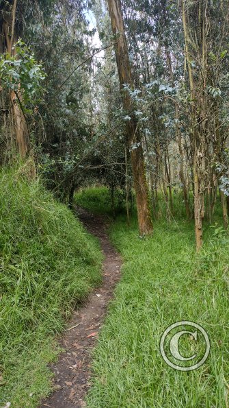 IMG_20221122_133237819_HDR