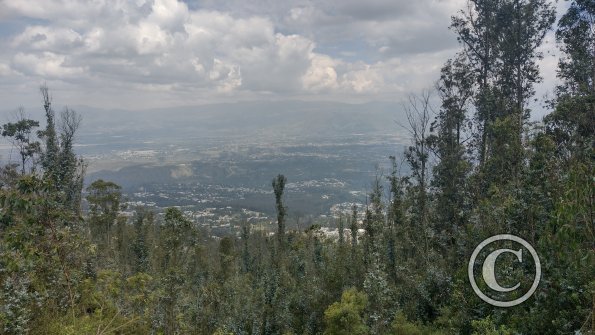 IMG_20221122_133632613_HDR
