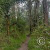 IMG_20221122_134023884_HDR