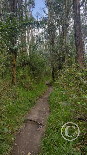 IMG_20221122_134023884_HDR