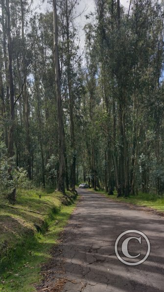 IMG_20221122_140700112_HDR
