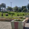 Parque del Arbolito