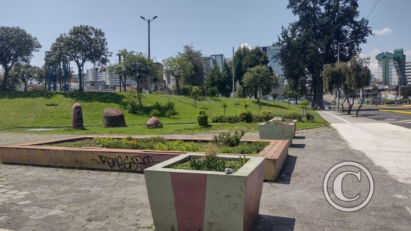 IMG_20221119_105528179_HDR