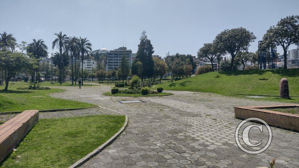 IMG_20221119_105532743_HDR