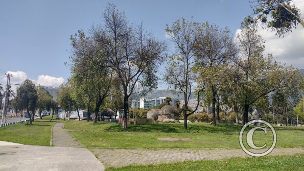 IMG_20221119_105840568_HDR