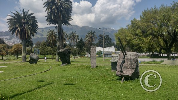 IMG_20221119_110349162_HDR