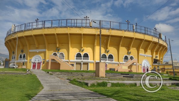IMG_20221116_085848457_HDR