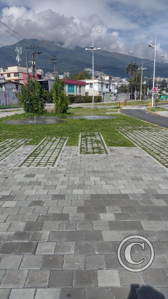 IMG_20221116_090223853_HDR
