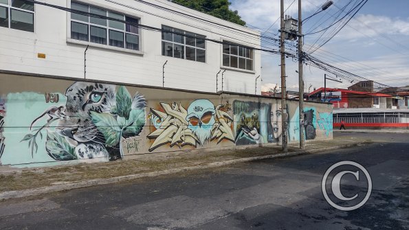 IMG_20221116_091237317_HDR