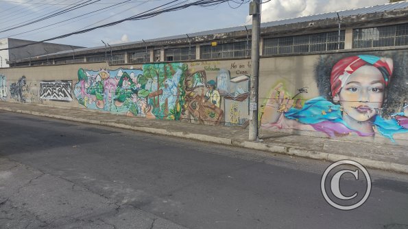 IMG_20221116_091300956_HDR