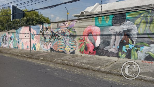 IMG_20221116_091505653_HDR