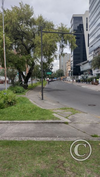 IMG_20221116_103348181_HDR