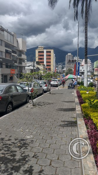 IMG_20221116_112401532_HDR