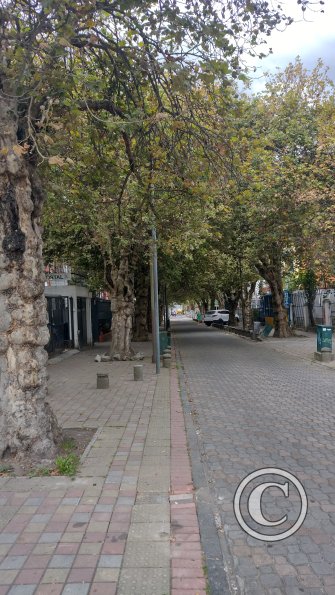 IMG_20221116_114038308_HDR