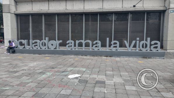 IMG_20221116_115746459_HDR
