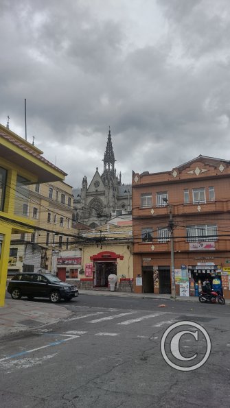 IMG_20221117_101915052_HDR