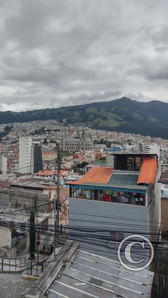 IMG_20221117_115203583_HDR
