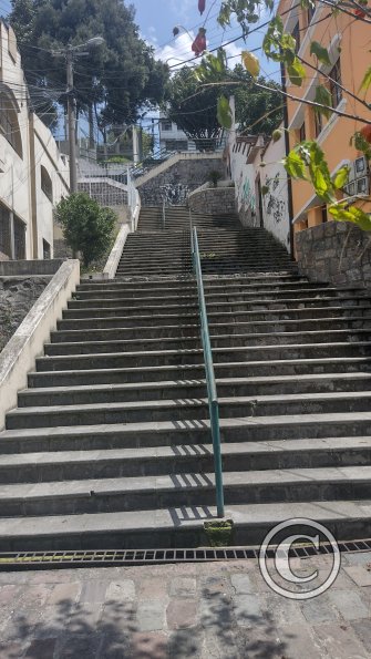 IMG_20221119_122121504_HDR