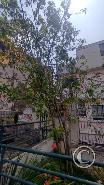 IMG_20221119_122144505_HDR